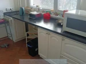Pronájem pokoje, Praha - Liboc, Krajní, 14 m2
