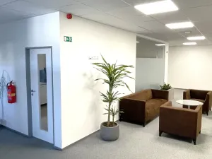 Pronájem kanceláře, Praha - Holešovice, Dělnická, 1252 m2