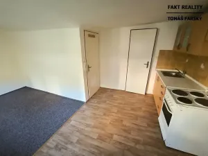 Pronájem bytu 1+kk, Děčín, Teplická, 19 m2
