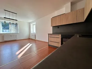 Pronájem bytu 3+kk, Děčín, Kamenná, 98 m2
