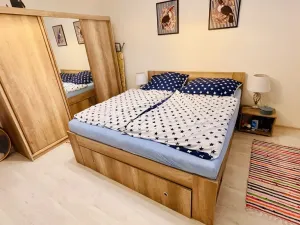 Pronájem bytu 3+1, Jihlava, Na Kopci, 75 m2