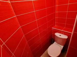 Pronájem bytu 4+kk, Vítkovice, 97 m2