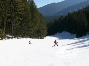 Prodej bytu 1+kk, Bansko, Bulharsko, 37 m2