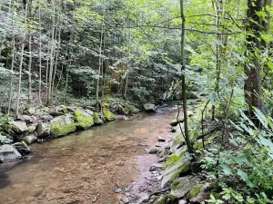 Prodej pozemku pro bydlení, Oskava, 4532 m2