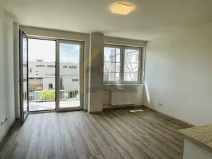 Pronájem bytu 1+kk, Rohatec, Moravní, 28 m2