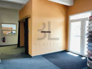 Pronájem obchodního prostoru, Bučovice, Legionářská, 539 m2