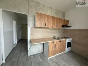 Pronájem bytu 2+1, Most, Hutnická, 55 m2