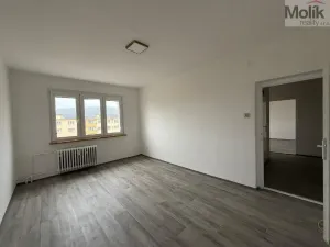 Pronájem bytu 2+1, Most, Hutnická, 55 m2