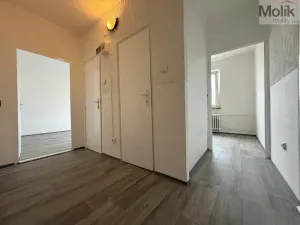 Pronájem bytu 2+1, Most, Hutnická, 55 m2