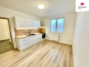 Pronájem bytu 1+1, Vémyslice, 44 m2