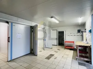 Pronájem skladu, Hodonín, Na Výhoně, 90 m2