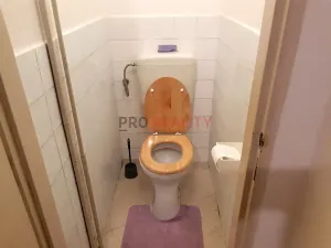 Pronájem bytu 1+1, Ostrava, Havlíčkovo náměstí, 42 m2