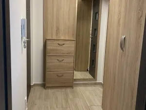 Prodej bytu 2+1, Plzeň - Bolevec, Žlutická, 49 m2