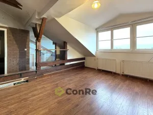 Prodej bytu 3+kk, Hradec Králové - Pražské Předměstí, Horova, 91 m2