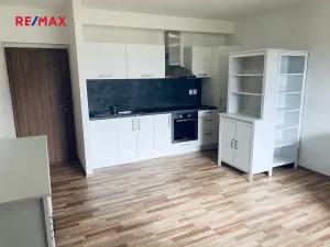 Pronájem bytu 2+kk, Plzeň, U Velkého rybníka, 52 m2
