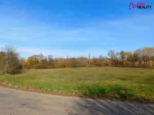 Prodej komerčního pozemku, Gruna, 8784 m2