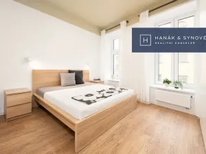 Pronájem bytu 2+kk, Brno, Cejl, 45 m2