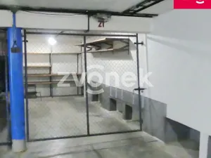 Pronájem garáže, Zlín - Malenovice, Tyršova, 16 m2