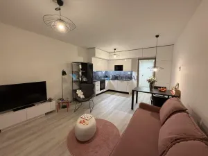 Pronájem bytu 1+kk, Ostrava - Slezská Ostrava, U Hájenky, 34 m2