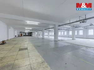 Prodej obchodního prostoru, Nejdek, Karlovarská, 5519 m2