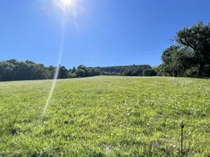 Prodej pozemku pro bydlení, Vyškovec, 5950 m2