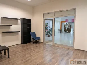 Pronájem obchodního prostoru, Prostějov, Anenská, 30 m2