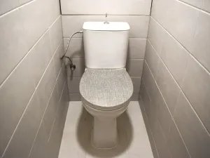 Pronájem bytu 2+1, Plzeň - Východní Předměstí, Krejčíkova, 62 m2