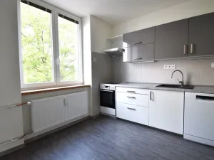 Pronájem bytu 2+1, Plzeň - Východní Předměstí, Krejčíkova, 62 m2