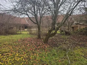 Prodej rodinného domu, Milonice, 100 m2