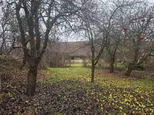 Prodej rodinného domu, Milonice, 100 m2