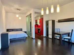 Pronájem bytu 1+kk, Praha - Holešovice, Jankovcova, 43 m2