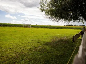 Prodej rodinného domu, Litíč, 60 m2