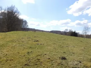 Dražba louky, Heřmanov, 4633 m2