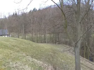 Dražba louky, Heřmanov, 4633 m2