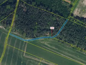 Dražba pozemku, Olešnice, 1135 m2