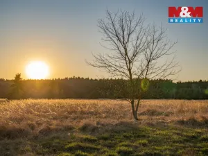 Prodej pozemku pro bydlení, Nová Ves, 758 m2