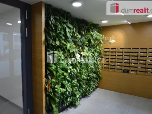 Pronájem bytu 3+kk, Praha - Karlín, U Mlýnského kanálu, 70 m2