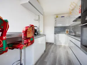 Prodej bytu 3+1, Most, Josefa Ševčíka, 68 m2