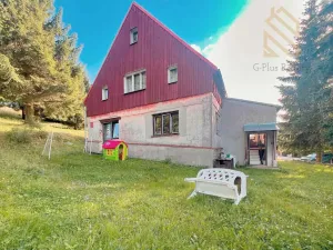 Prodej chalupy, Loučná pod Klínovcem - Loučná, 215 m2