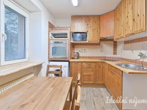 Pronájem bytu 1+1, Brno, Sibiřská, 28 m2