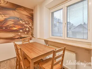 Pronájem bytu 1+1, Brno, Sibiřská, 28 m2