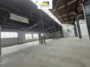 Pronájem výrobních prostor, Plzeň - Skvrňany, Domažlická, 2735 m2