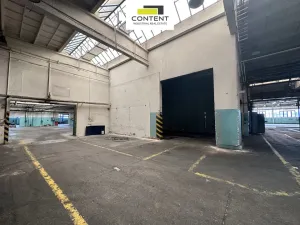 Pronájem skladu, Příbram - Příbram I, Obecnická, 9000 m2
