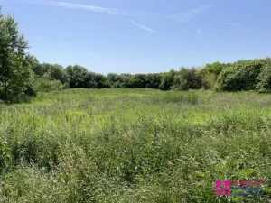 Prodej pozemku pro bydlení, Diváky, 7284 m2