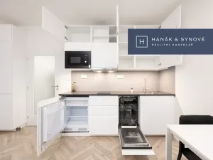 Pronájem bytu 1+kk, Brno, Francouzská, 26 m2