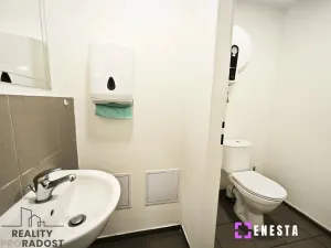 Pronájem skladu, Tursko, 619 m2