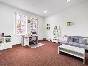 Prodej komerční nemovitosti, Teplice, Pražská, 1334 m2