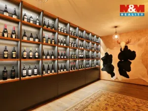 Pronájem restaurace, Olomouc, Riegrova, 500 m2