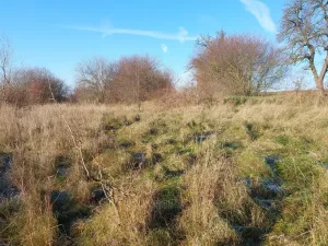 Prodej pozemku pro bydlení, Dřetovice, 1424 m2