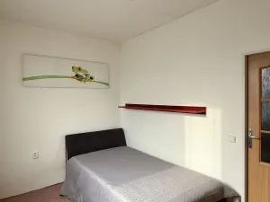 Pronájem bytu 2+1, Podbořany, Alšova, 51 m2